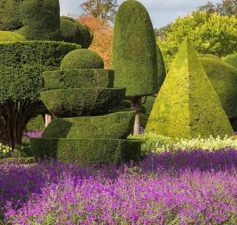 Topiary Sculptures