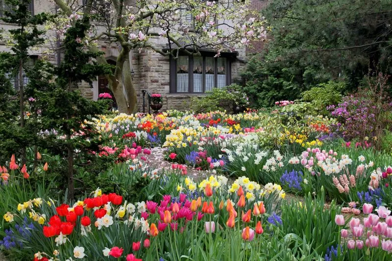 It's Too Late: Early Spring Bulbs