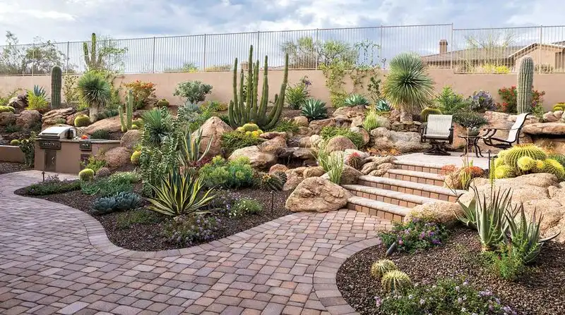 Desert Garden
