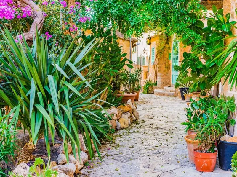 Mediterranean Courtyard Garden