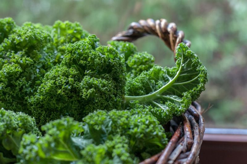 Kale