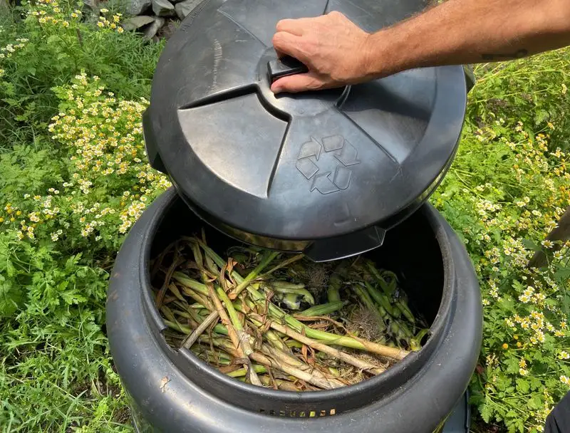 Keep a Lid on It