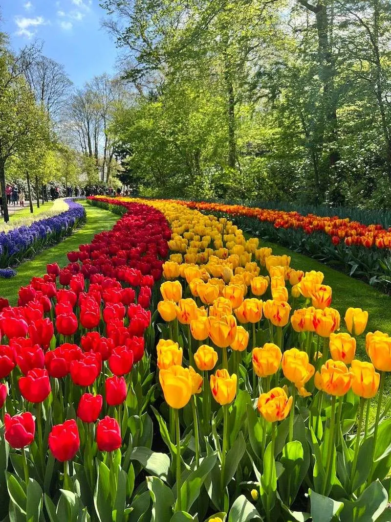 Keukenhof Gardens Look-Alike, Canada