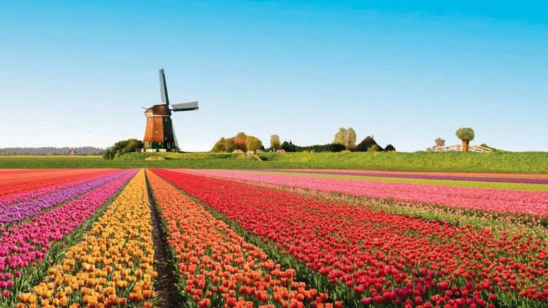 Keukenhof Gardens