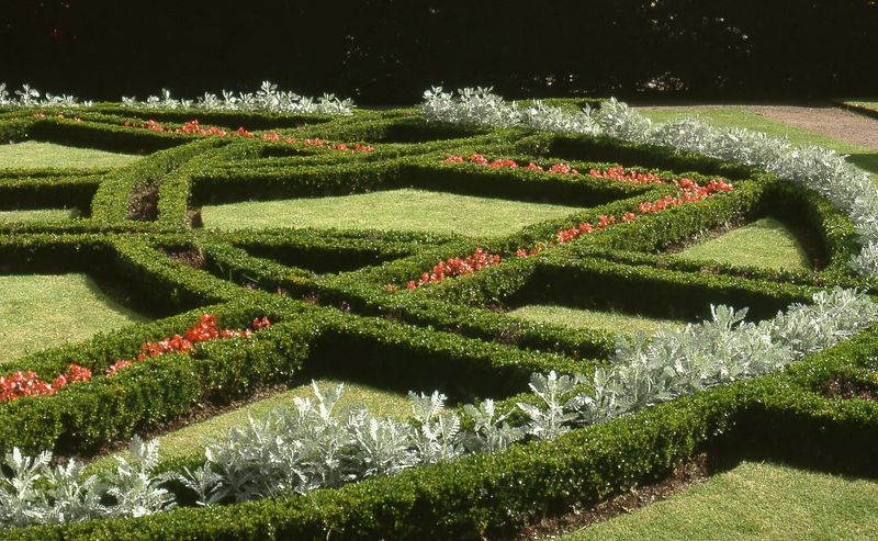 Knot Gardens