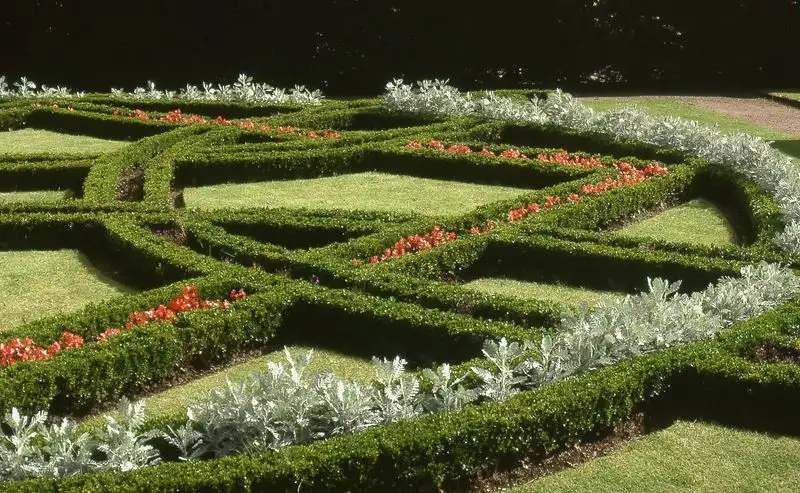 Knot Gardens