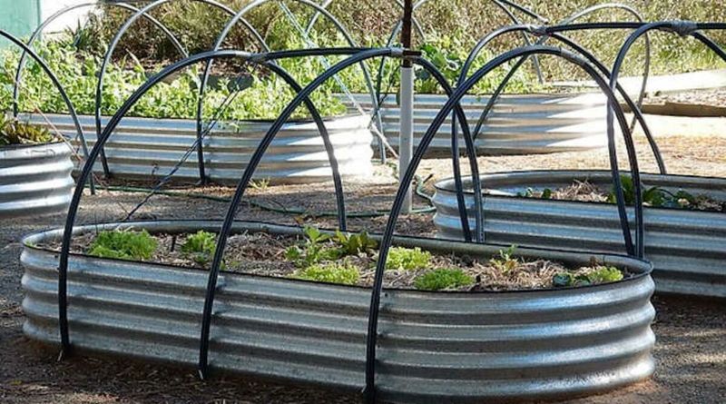 Hoop House Bed