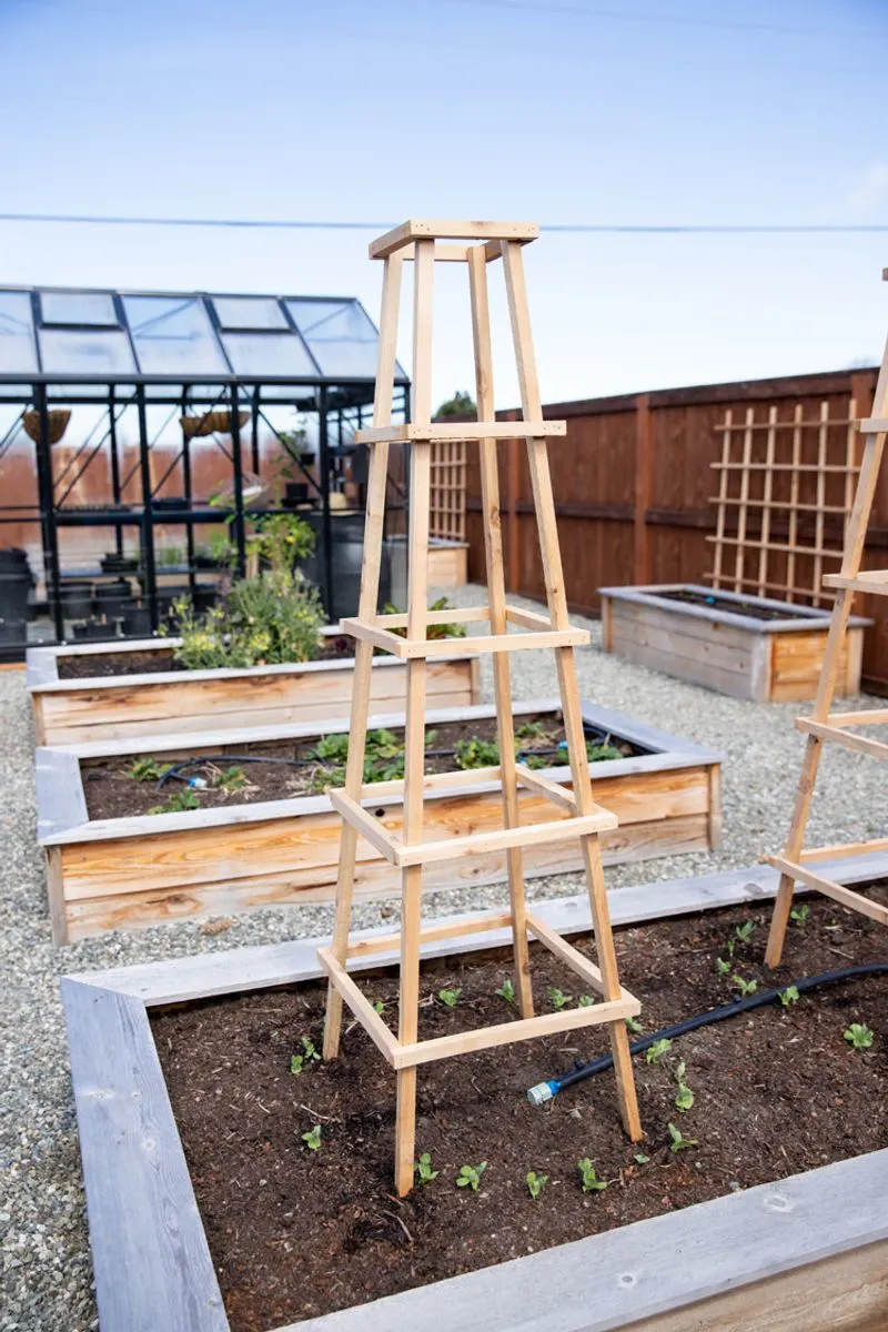 Ladder Trellis