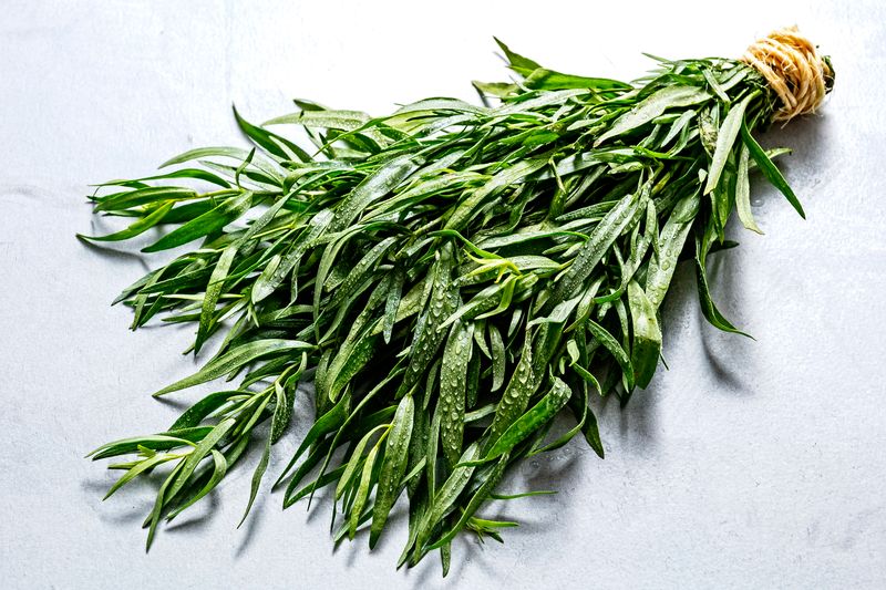 Tarragon