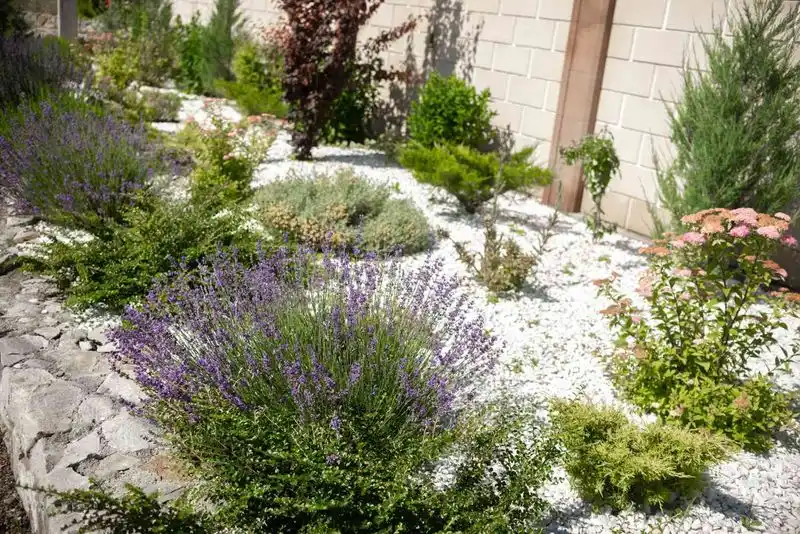 Lavender Rock Garden
