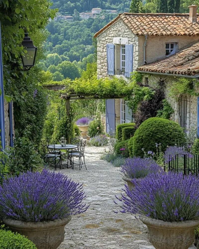 Lavender: The Calming Classic