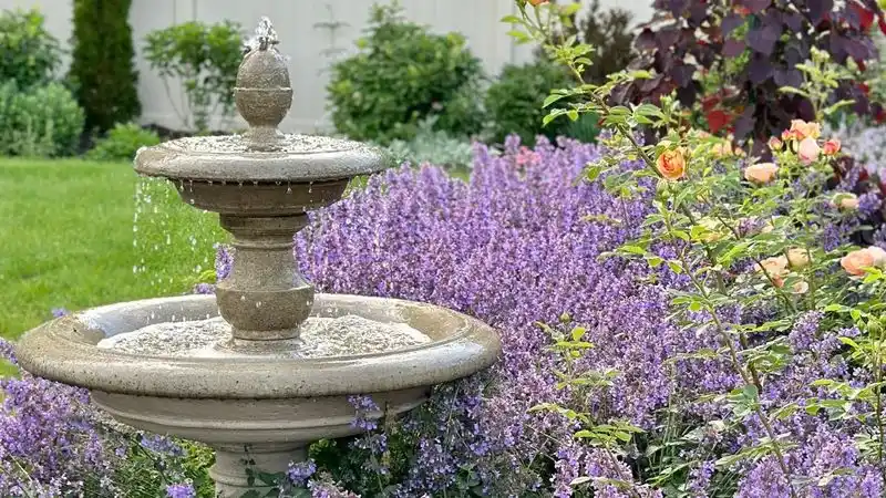 Lavender Water Feature