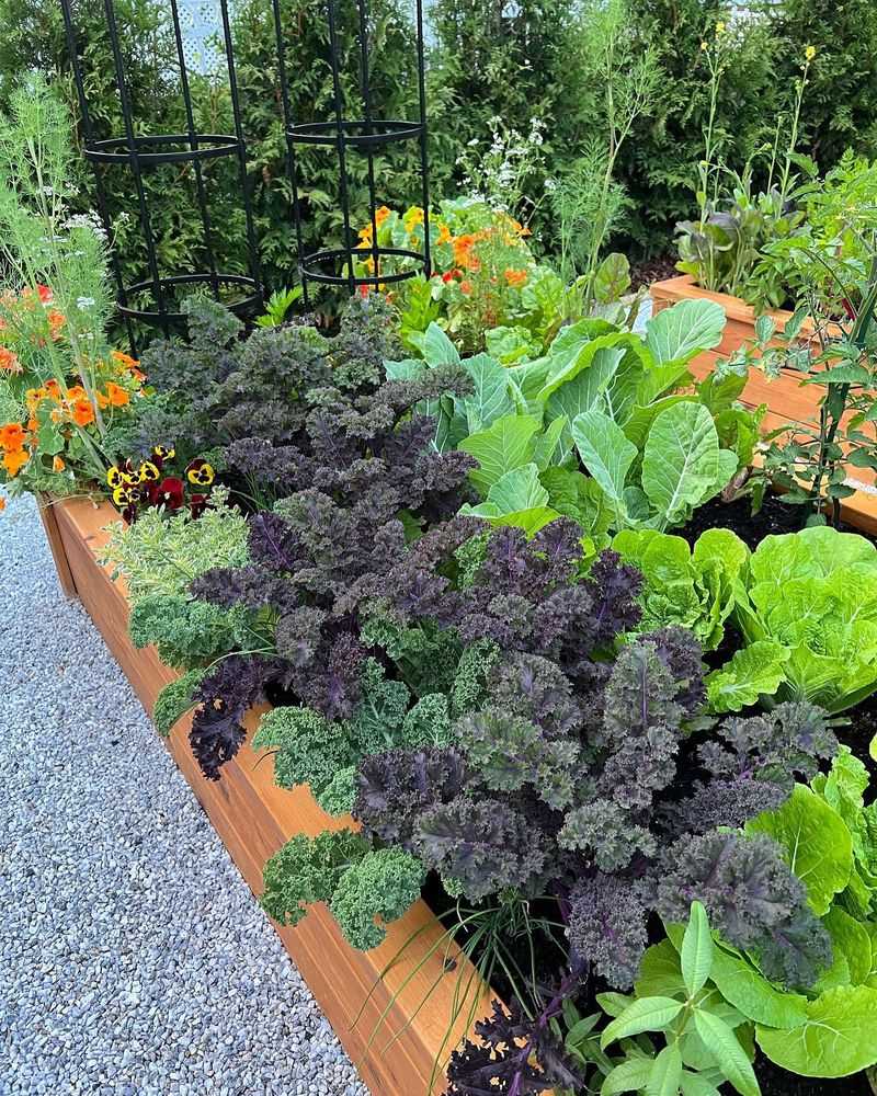 Lavender and Kale