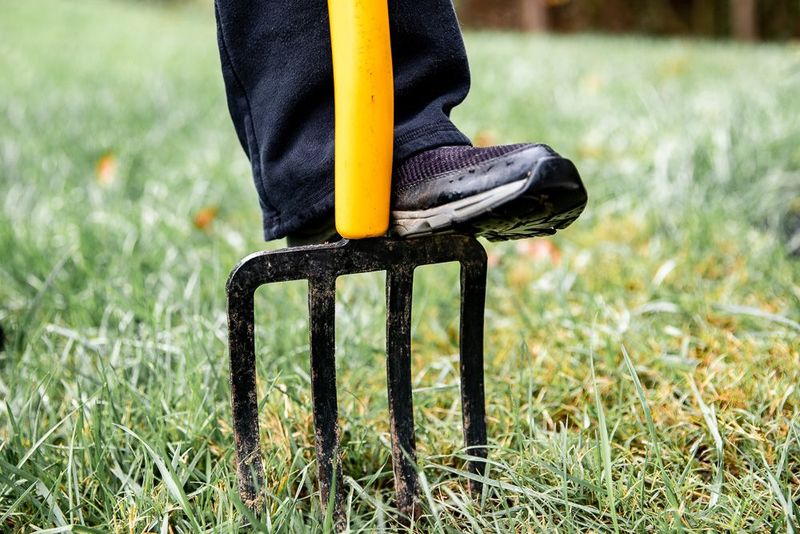 Lawn Aeration