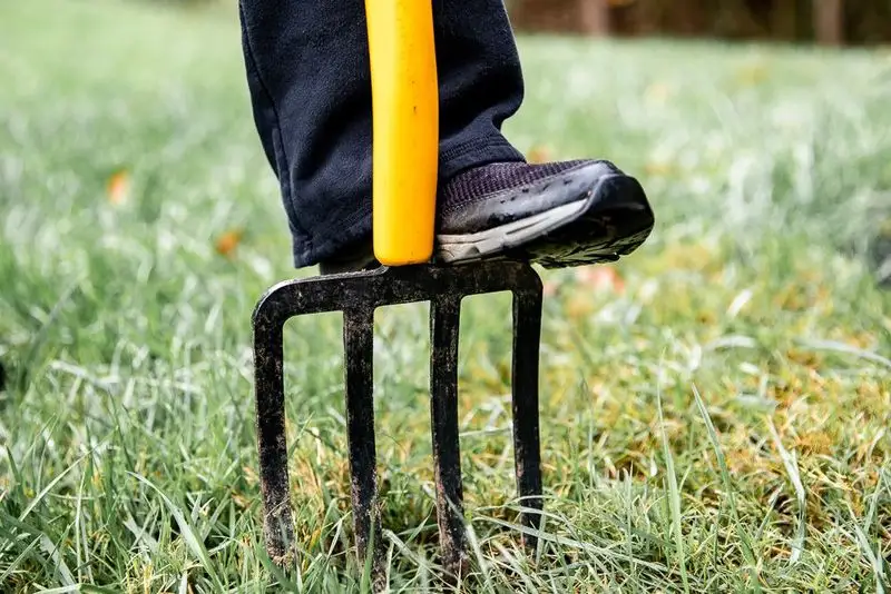 Lawn Aeration