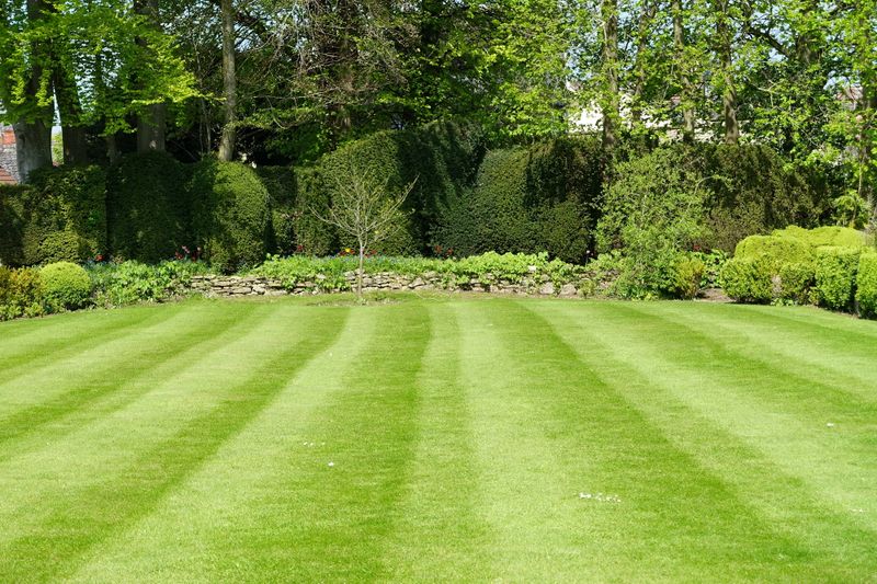 Lawn Care: The Grass is Greener