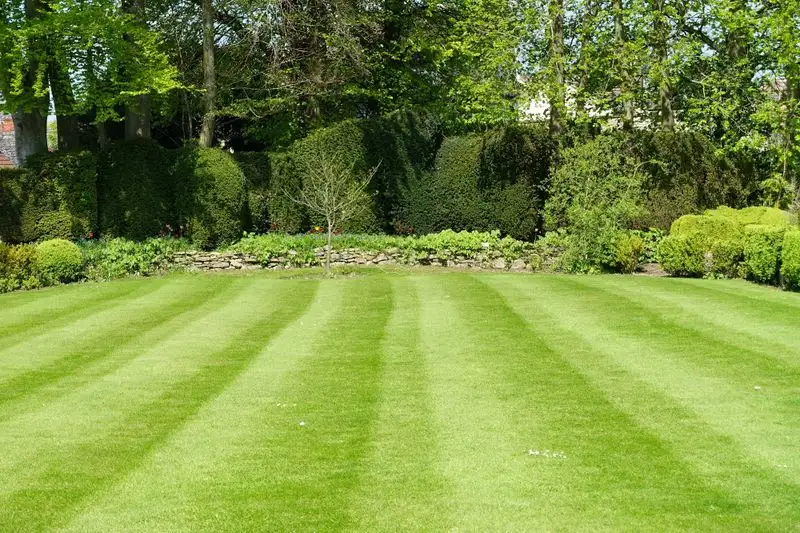 Lawn Care: The Grass is Greener