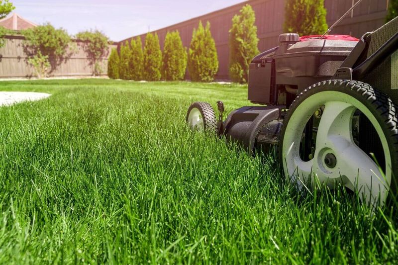 Lawn Care
