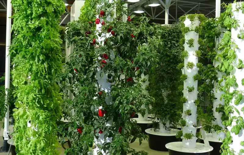 Vertical Gardening Structures