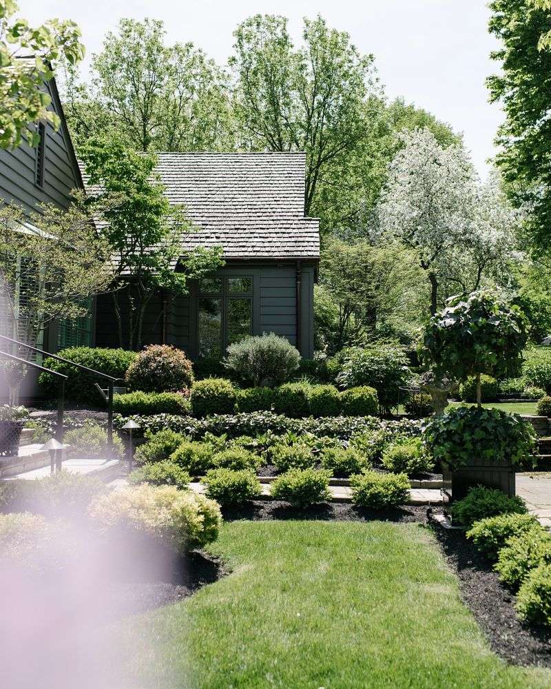 Let Trees and Shrubs Take the Lead