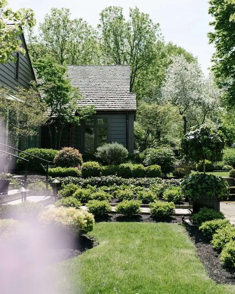 Let Trees and Shrubs Take the Lead