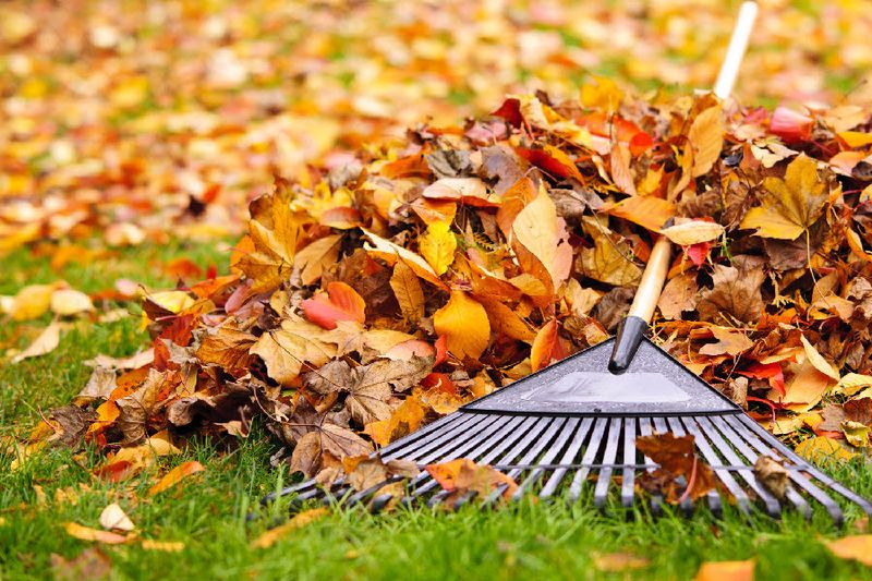 Letting Leaves Decay