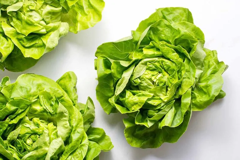 Lettuce