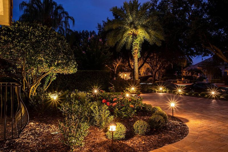 Lighting: Illuminate the Night