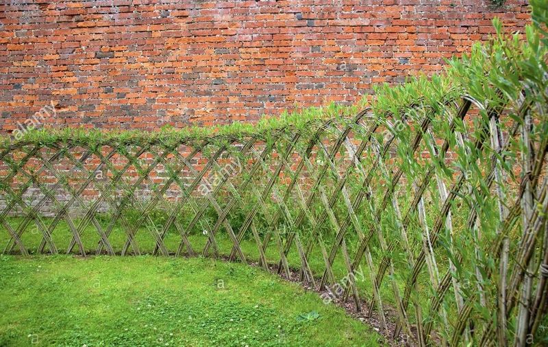 Living Fences