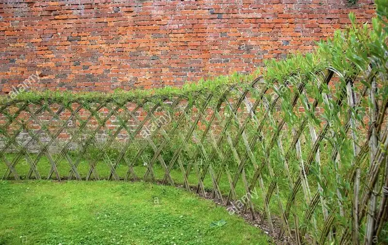 Living Fences