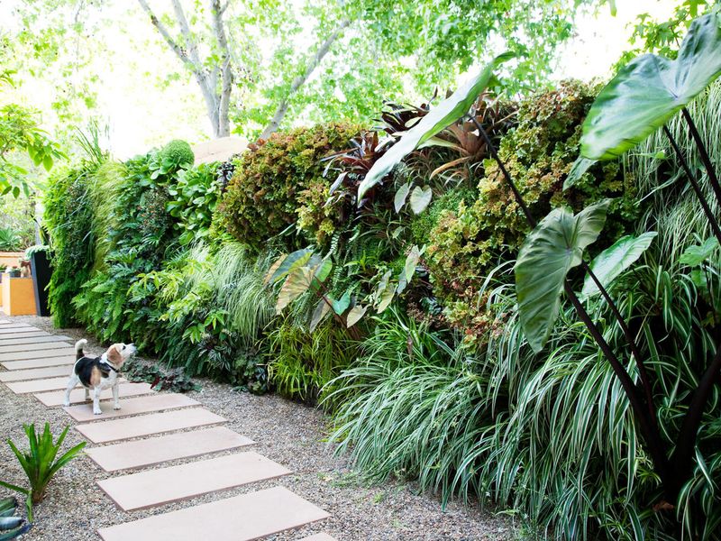 Living Walls