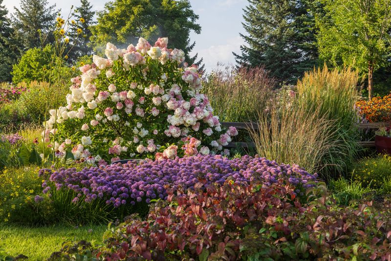 Versatile Landscaping Options