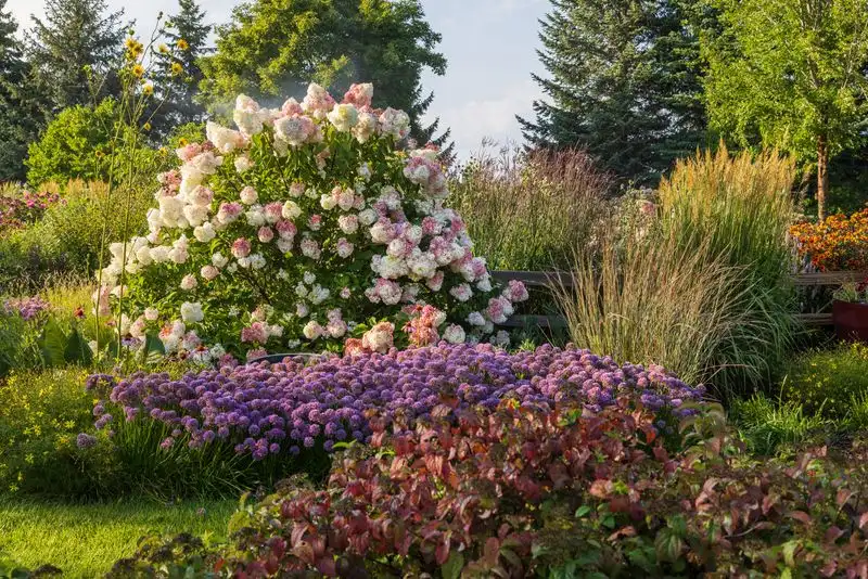 Versatile Landscaping Options