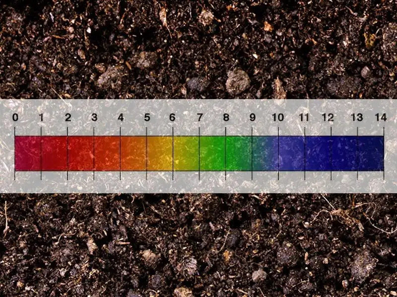 Soil Acidity