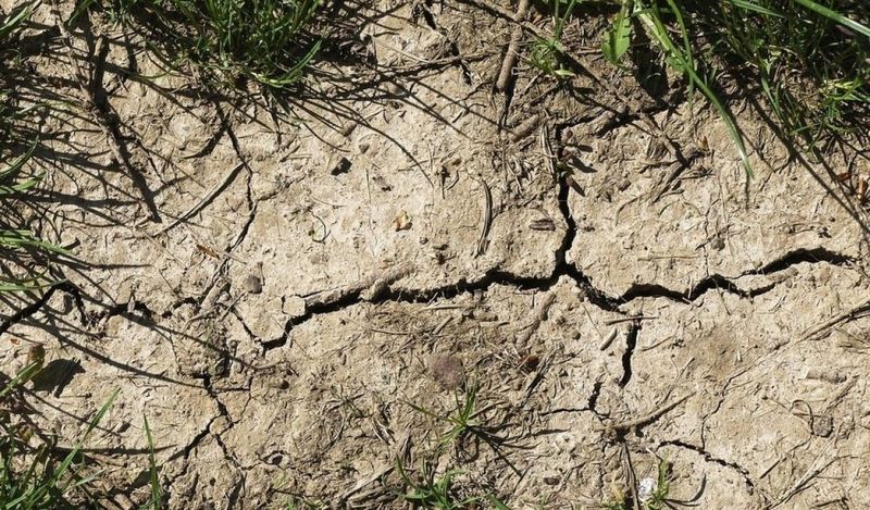 Compacted Soil
