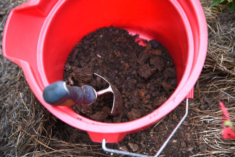 Soil Contamination with Heavy Metals