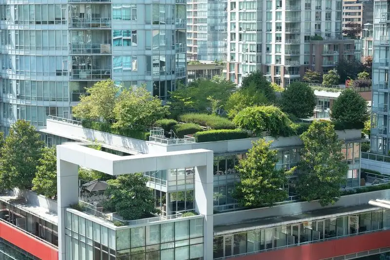 Craze for Rooftop Gardens