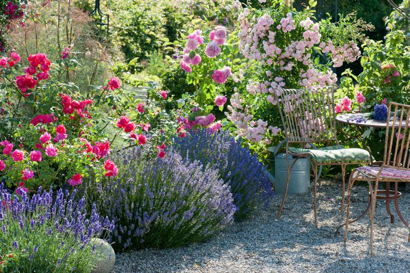 Fragrant Aromas