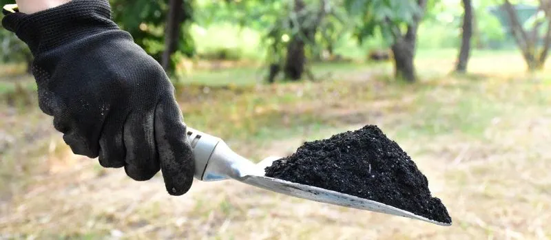 Biochar