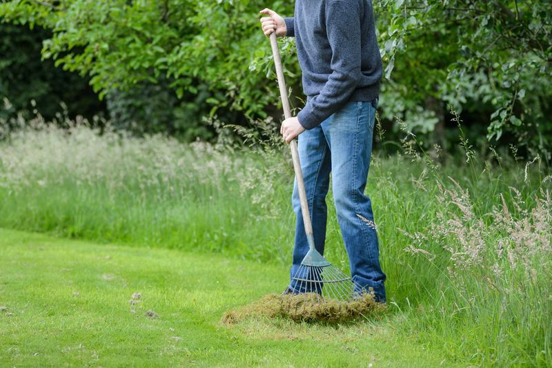 Maintaining Lawn Health