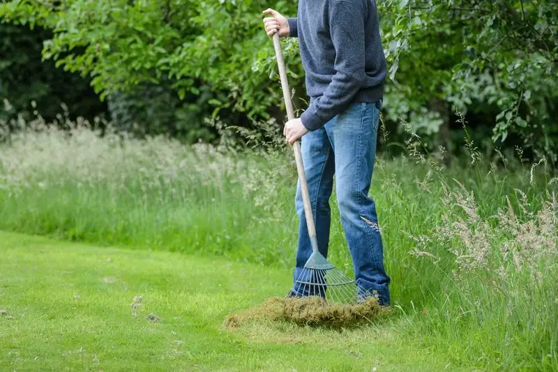 Maintaining Lawn Health