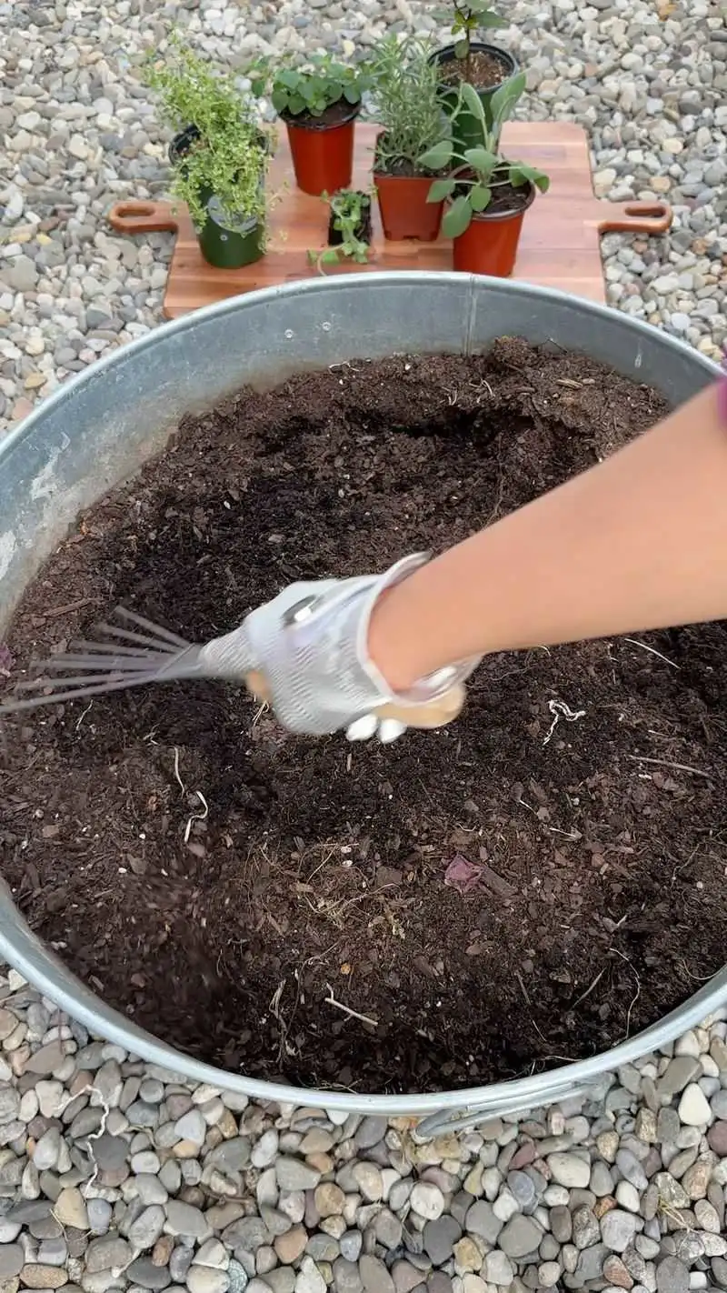 Rotate and Refresh Soil