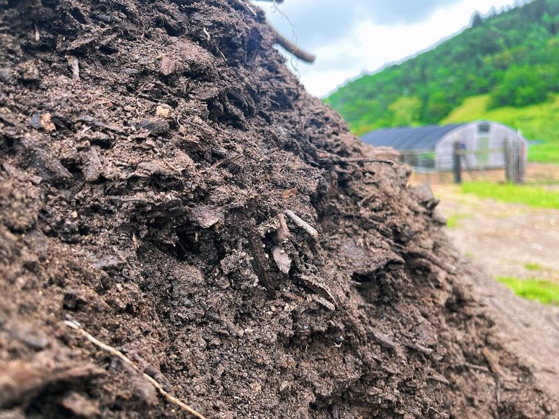 Manure Compost