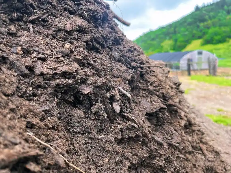 Manure Compost