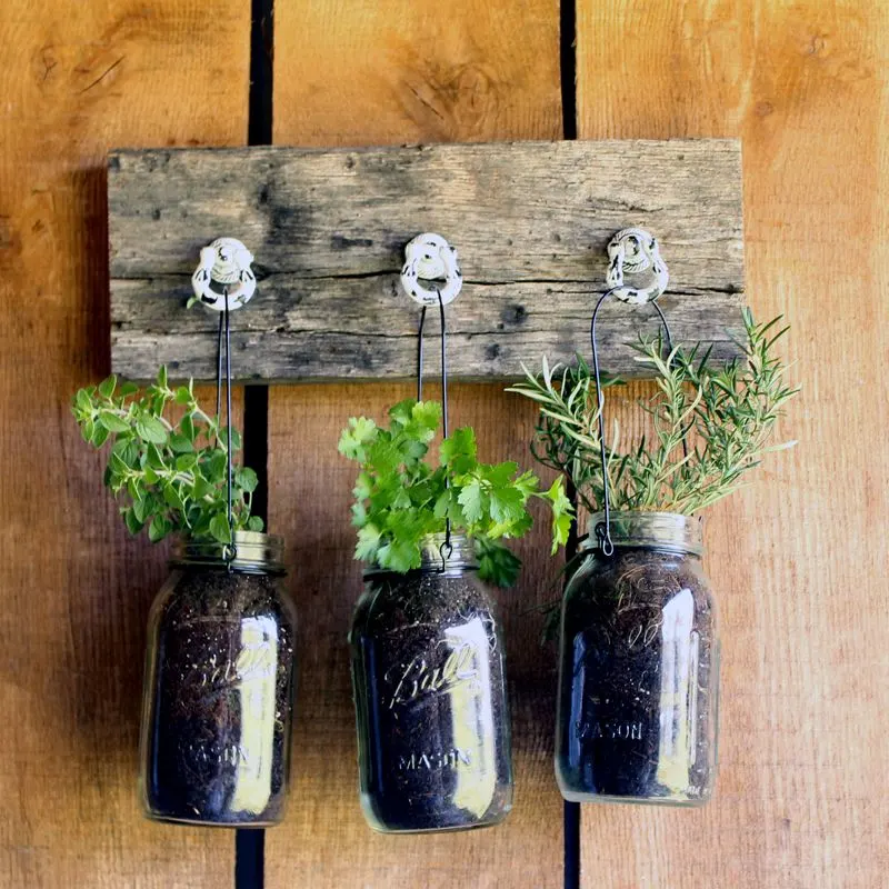 Mason Jar Herb Display