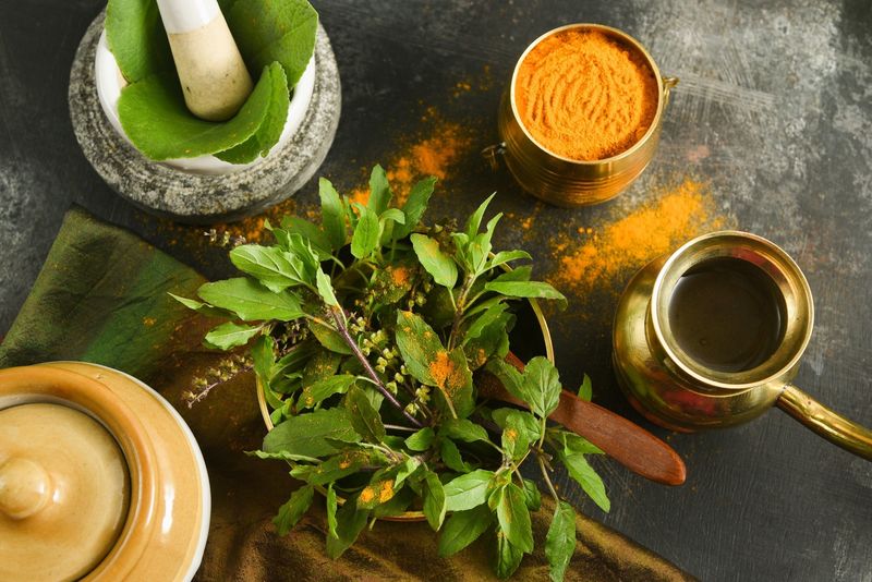 Medicinal Uses