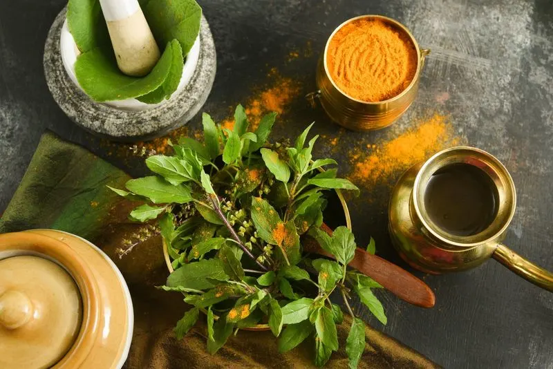 Medicinal Uses