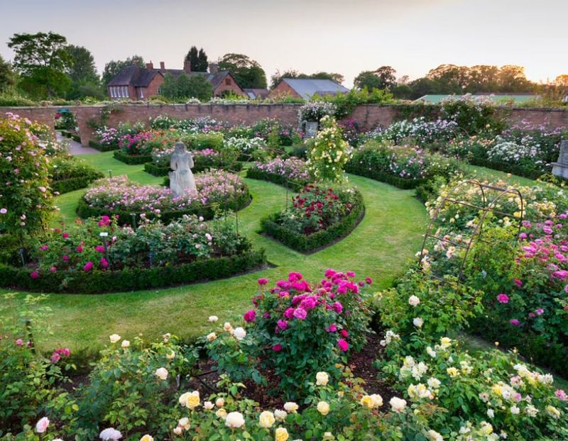 English Rose Garden