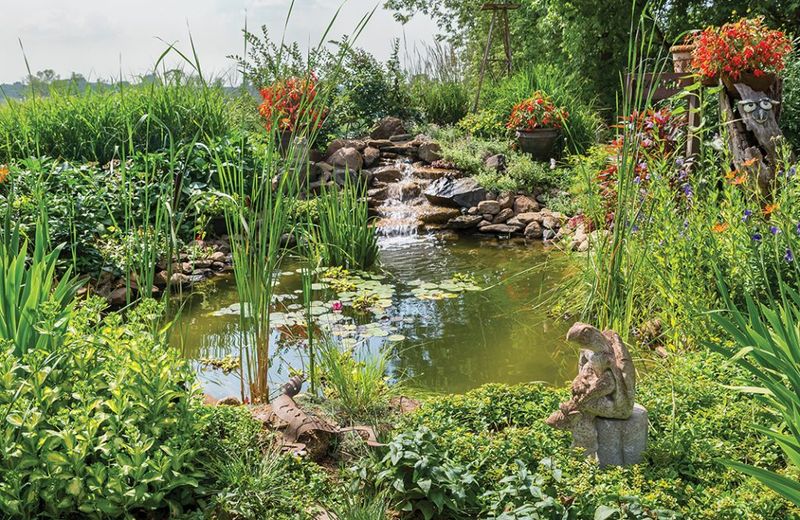 Wildlife Habitat Haven
