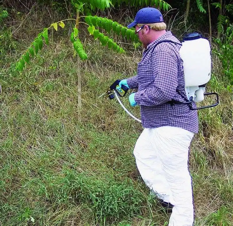 Method 2: Herbicide Application